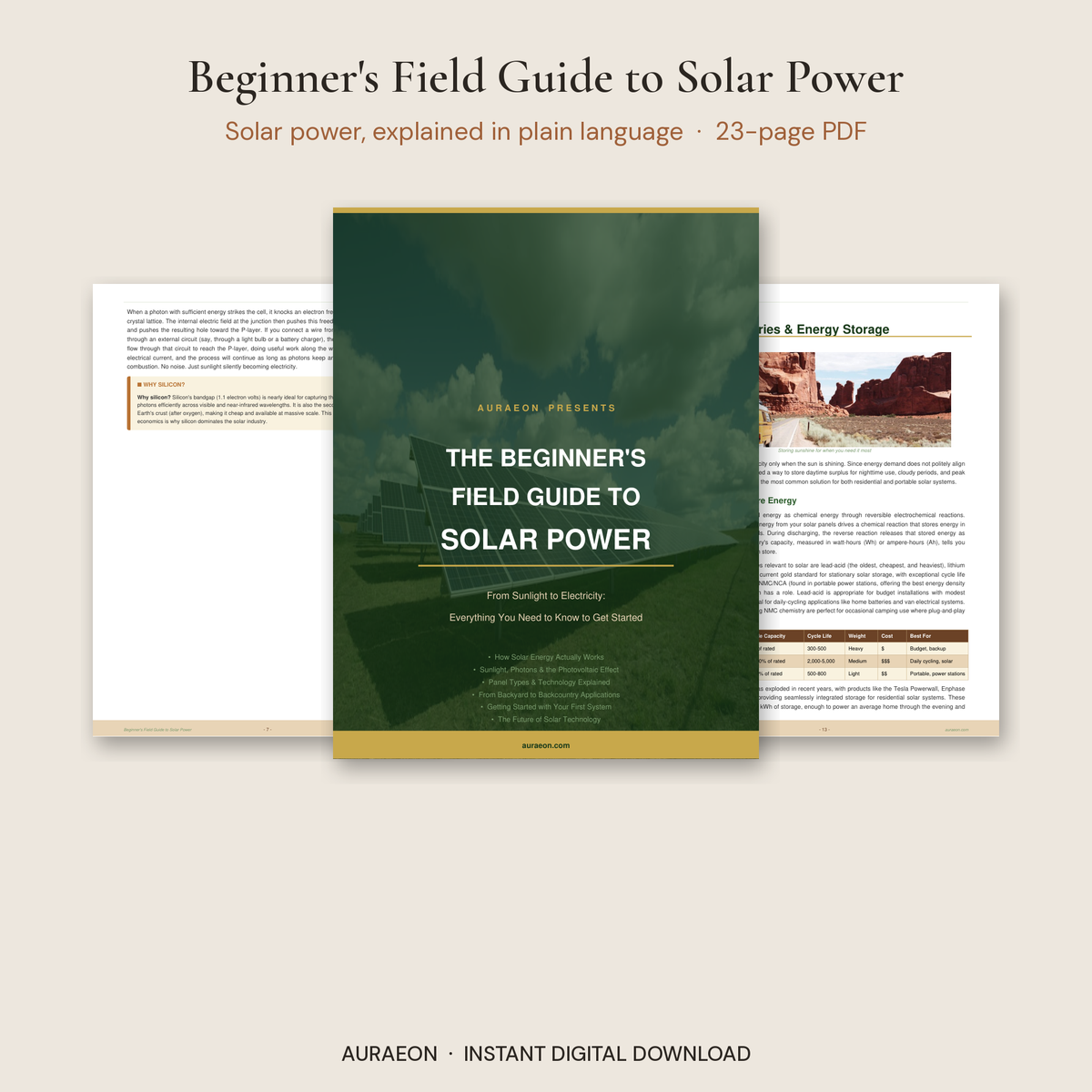 The Beginner's Field Guide to Solar Power